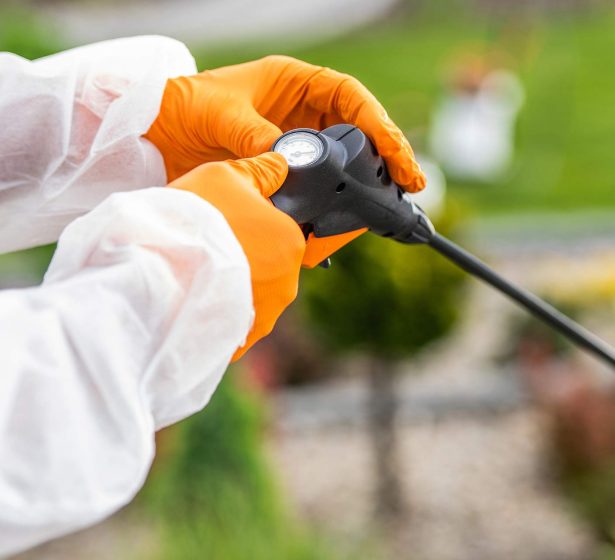 pesticide-sprayer-calibration-performed-by-profess-2025-03-16-13-22-43-QYJSKXY.jpg